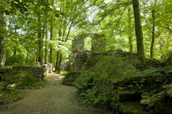 Foto: Kloster Altzellawww.schloesserland-sachsen.de Foto: Kloster Altzellawww.schloesserland-sachsen.de