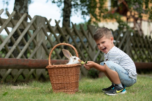 Dem Osterhasen auf der Spur (Foto: TVE/studio2media)