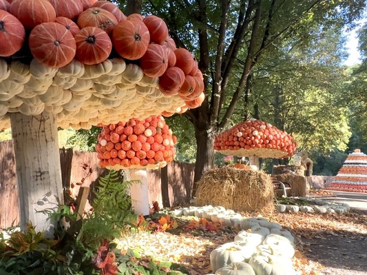 &copy; Oskarshausen GmbH