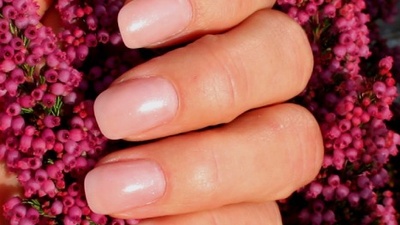 Bild von Susi Anderl auf Pixabay