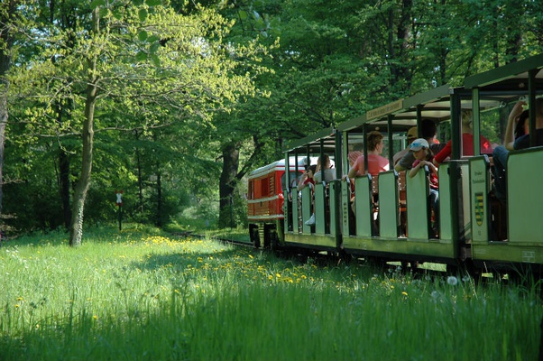 Foto: Schlösserland Sachsen Foto: Schlösserland Sachsen