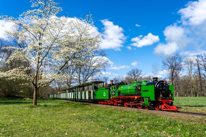 Dresdner Parkeisenbahn mit Dampflok &copy; Ben Walther