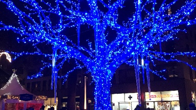 Blauer Baum auf dem Augustusmarkt / PR