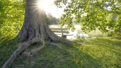 Schlosspark Hermsdorf / Foto: Anita Meinert