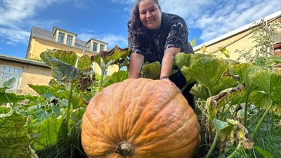 Spitzenkürbis Atlantic Giant von Annegret Goldbach / &copy; Oskarshausen GmbH