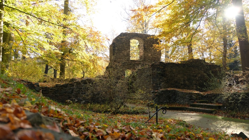Ruine der ehemalige Abtei im Klosterpark Altzella &copy; Juliane Schikade