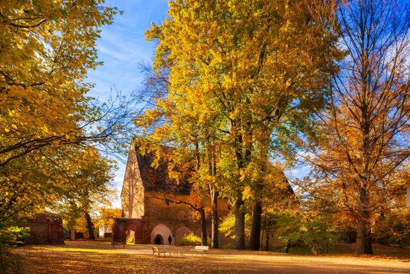 Bei goldener Herbstsonne und buntem Laub im Klosterpark Altzella die Ferien genießen. © Sylvio Dittrich Bei goldener Herbstsonne und buntem Laub im Klosterpark Altzella die Ferien genießen. © Sylvio Dittrich