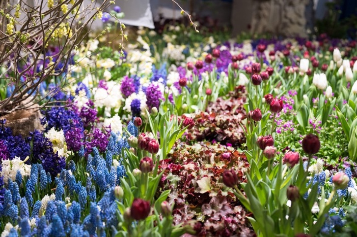 Impressionen 2023 &copy; THIEL Public Relations/Fördergesellschaft Gartenbau Sachsen