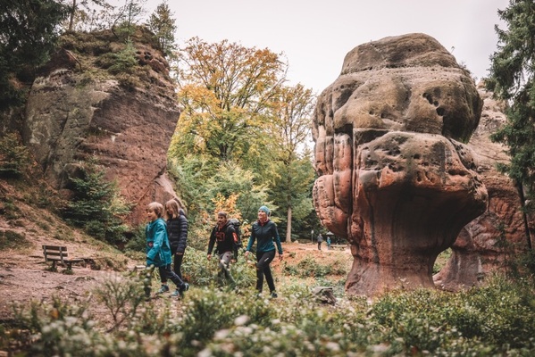 Kelchsteine im Zittauer Gebirge / Foto: Philipp Herfort Kelchsteine im Zittauer Gebirge / Foto: Philipp Herfort