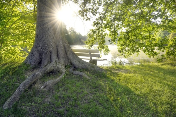Schlosspark Hermsdorf / Foto Anita Meinert