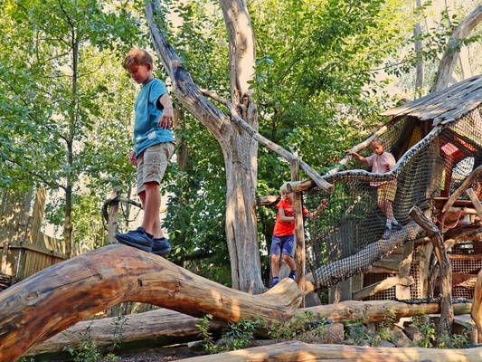 ArkaZien Baumstammklettern © Silva Pöhls/ Ziegler Spielplätze von A-Z ArkaZien Baumstammklettern © Silva Pöhls/ Ziegler Spielplätze von A-Z