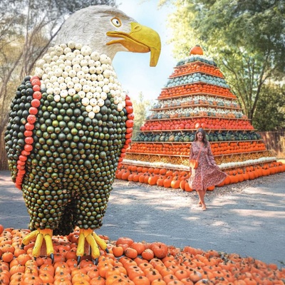 &copy; Oskarshausen GmbH