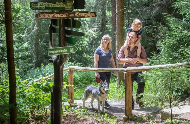 Familienwanderung im Wald / Foto: Tourismusverband Erzgebirge e.V., Uwe Meinhold