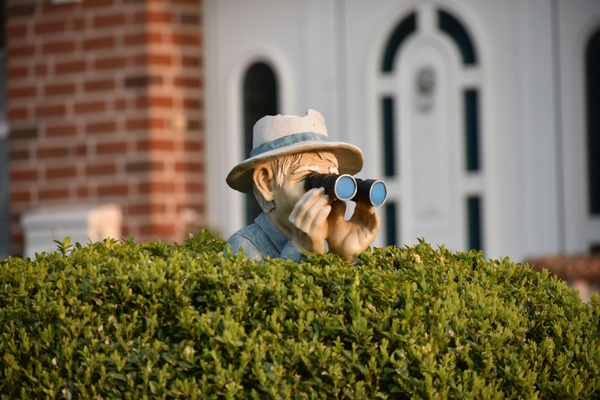 Bild von Volker Eckner auf Pixabay