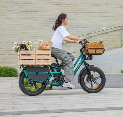 Das Fiido T2 ist ein Longtail-E-Lastenrad / PR