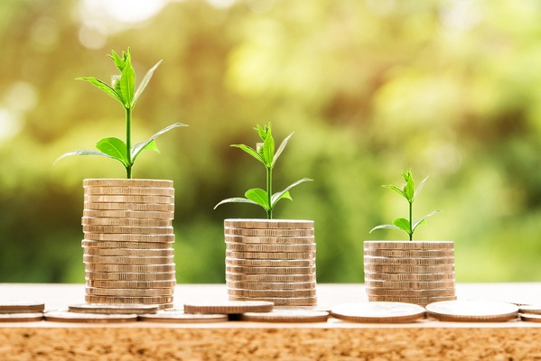 Bild von Nattanan Kanchanaprat auf Pixabay Bild von Nattanan Kanchanaprat auf Pixabay