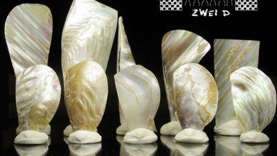 Kunstobjekt zu Ausstellung Flussperlmuschel © SLNU Kunstobjekt zu Ausstellung Flussperlmuschel © SLNU