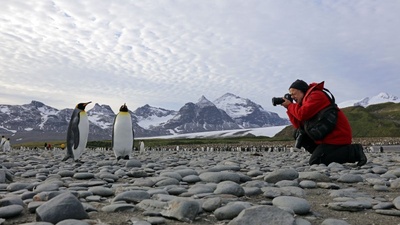 Yadegar Asisi fotografiert Pinguine für ANTARKTIS &copy; asisi