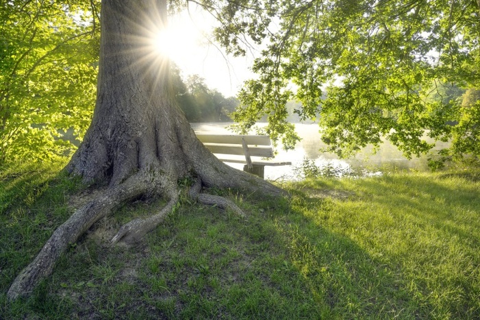 Schlosspark Hermsdorf / Foto: Anita Meinert