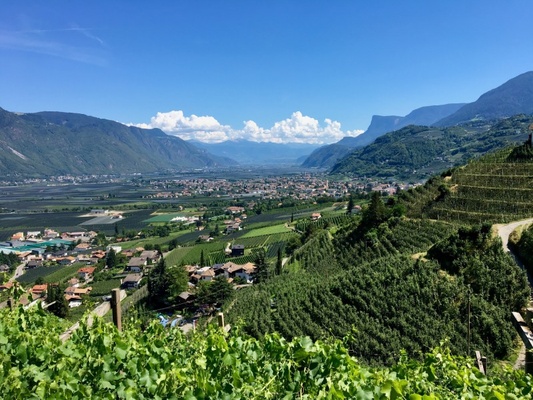 Südtirol, Meran / Bild von AlbiF auf Pixabay